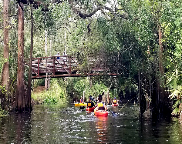 Shingle Creek Guided Kayak Adventure